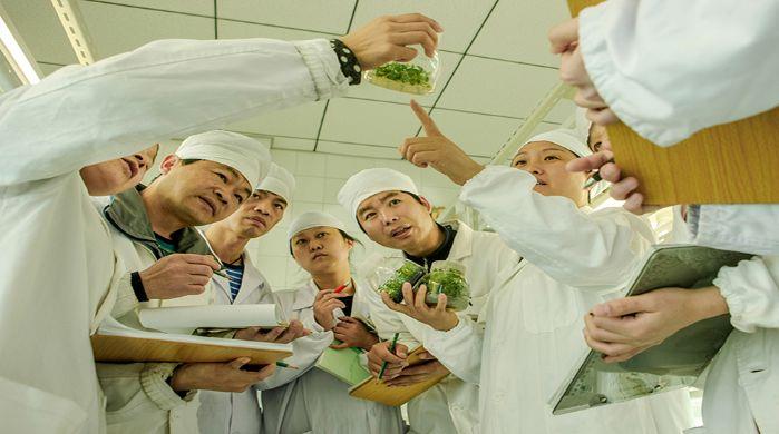 三峡苗圃研究中心科研人员观察苗种成长情况