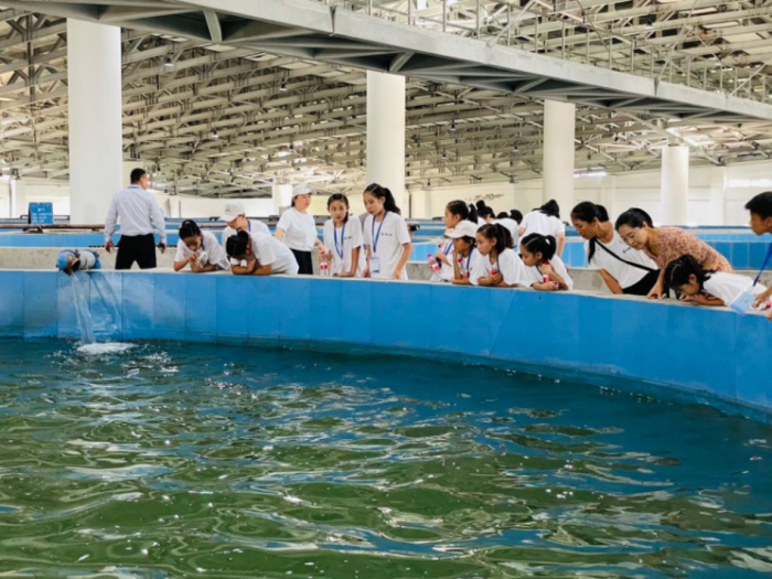 caae50c25212eb98c8b8deb3c416b42cu1 caae50c25212eb98c8b8deb3c416b42cu1