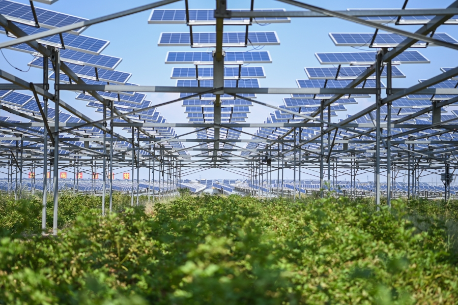 图5  av在线
在库布齐沙漠腹地绘就沙漠生态治理与综合能源高效利用新画卷