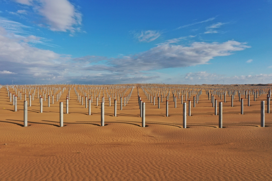 图3  内蒙古库布齐沙漠鄂尔多斯中北部新能源基地项目先导工程光伏基础桩浇筑